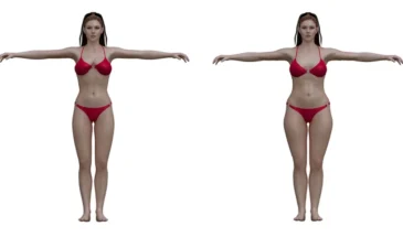 Ideal Body Proportions Calculator